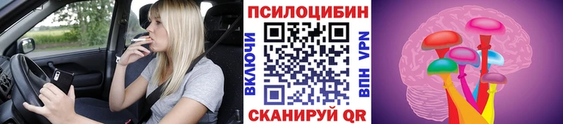 Галлюциногенные грибы MAGIC MUSHROOMS  Купить  Иннополис 
